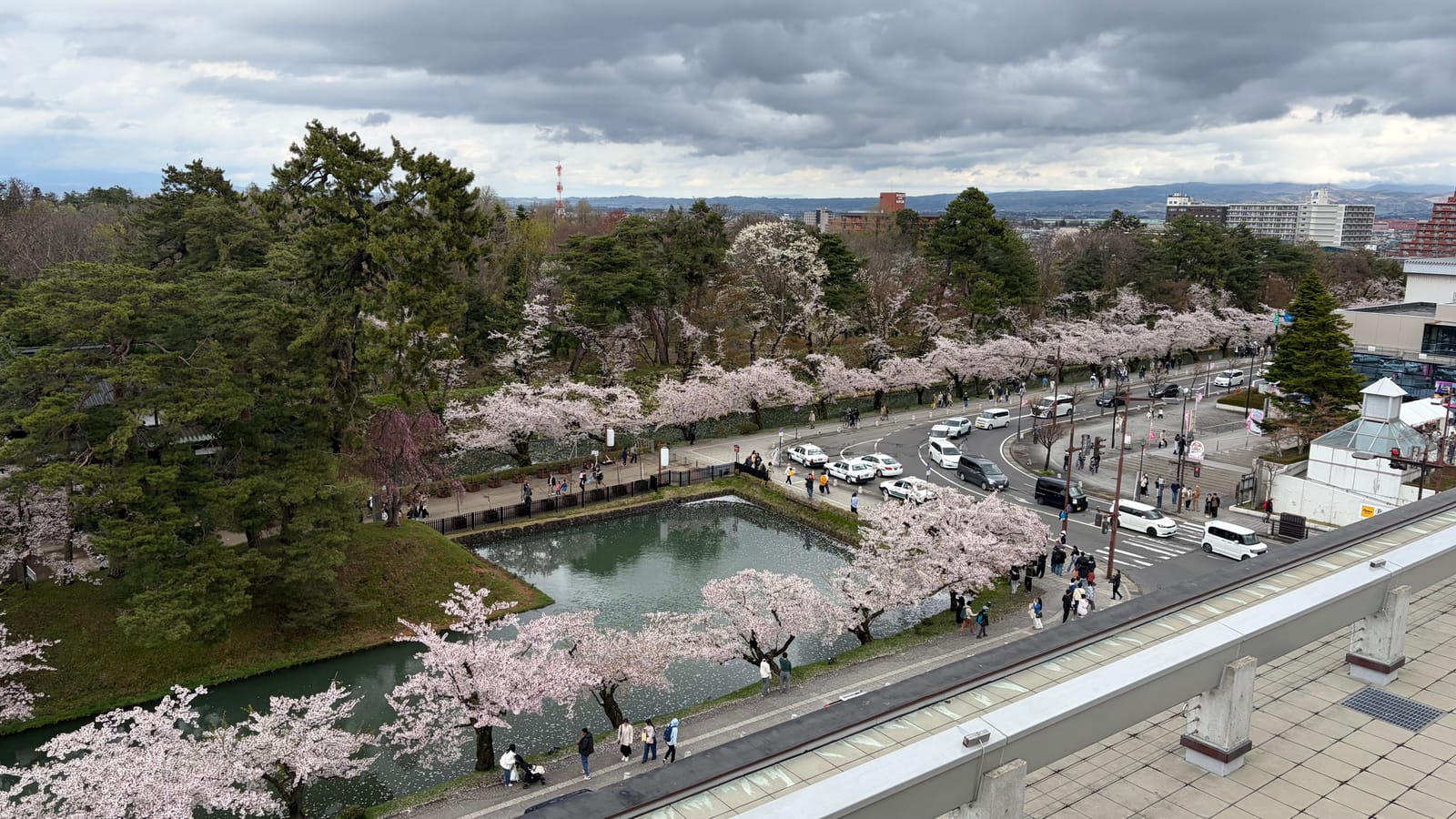 弘前市役所の屋上展望台から。お堀沿いの満開の桜と、花見客でにぎわう弘前公園が一望できる