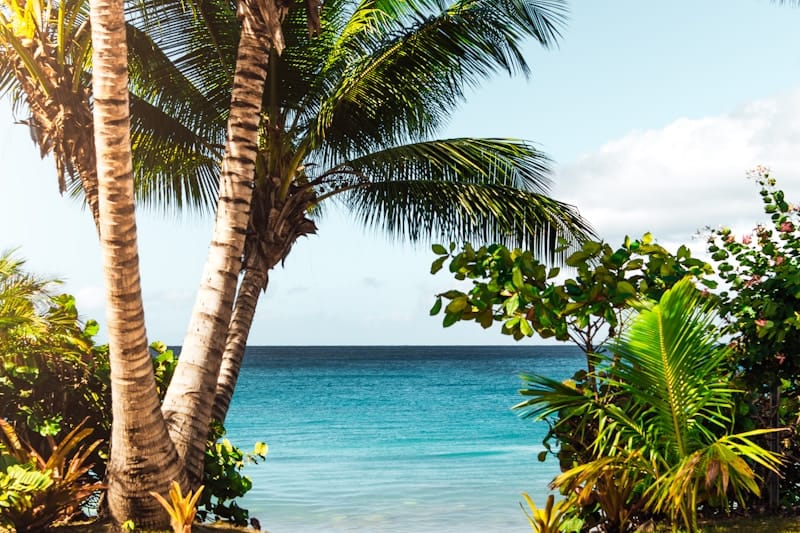 最寄りスタバまで394km ─ 日本で一番「ぽつんとスタバ」を訪ねる